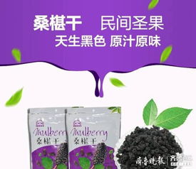 山東古桑農(nóng)副產(chǎn)品公司 實施三大銷售模式，推動健康產(chǎn)業(yè)化發(fā)展